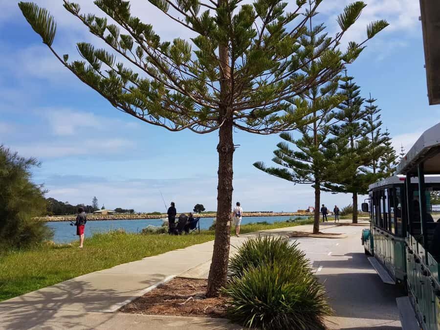 Mandurah: Big Toot 30 mins scenic tour - Authentic Encounters and Reviews