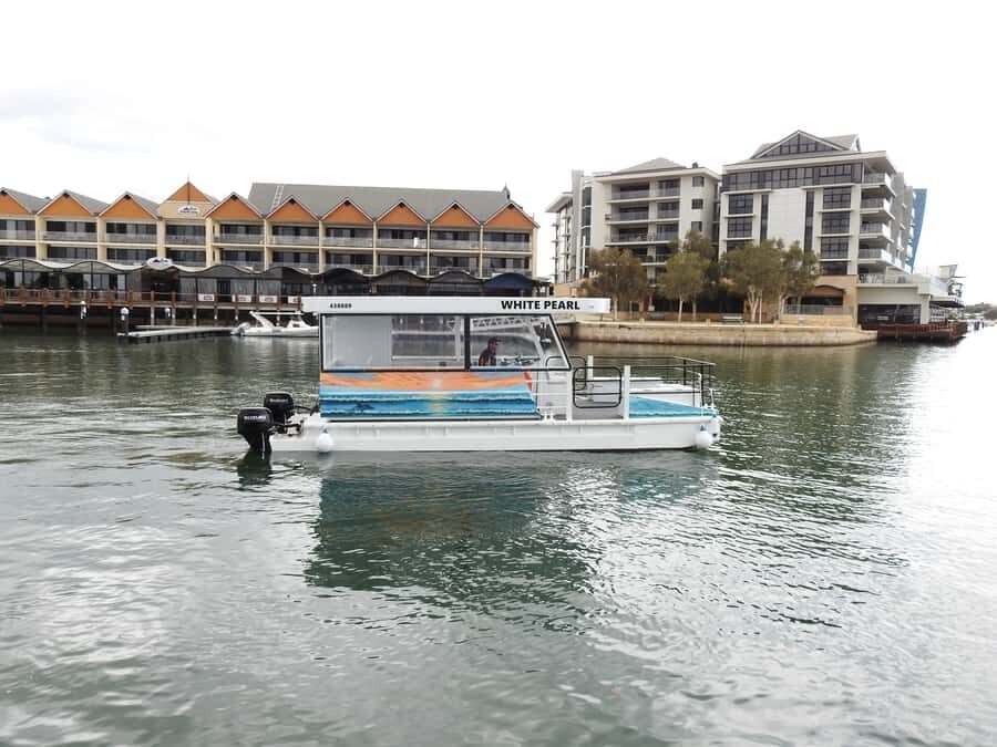 Mandurah: Sightseeing Dolphin Cruise with Tour Guide - Key Points