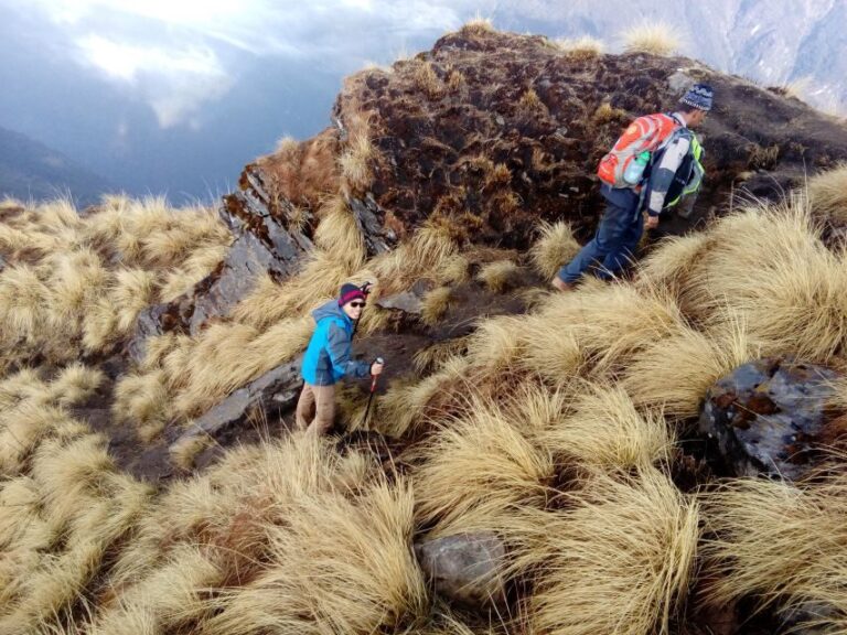 Mardi Himal Base Camp Trek from Pokhara - What You Can Expect: The Day-by-Day Breakdown