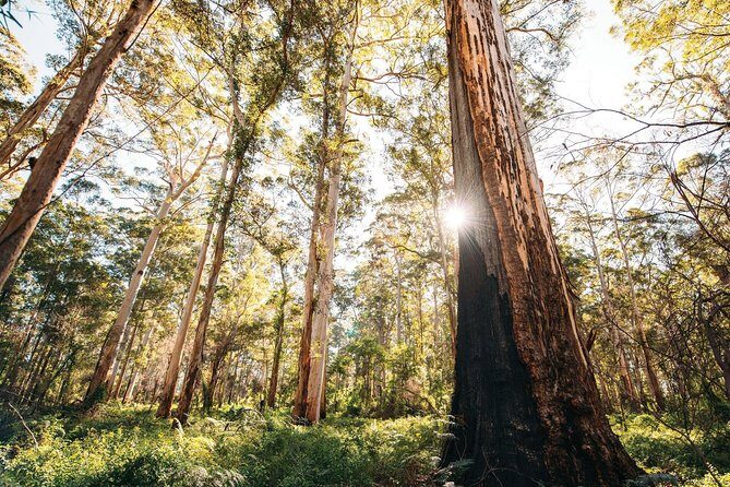 Margaret River 3 Day Escape - Who Will Love This Tour?
