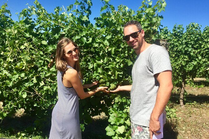 Margaret River Beer & Wine Adventure (departs Margaret River) - Transport and Group Dynamics