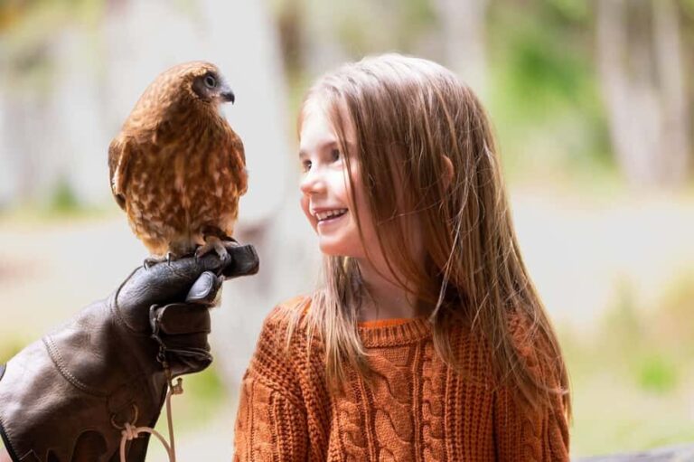 Margaret River: Birds of Prey Encounter and Forest Walk - Who Should Consider This Tour?