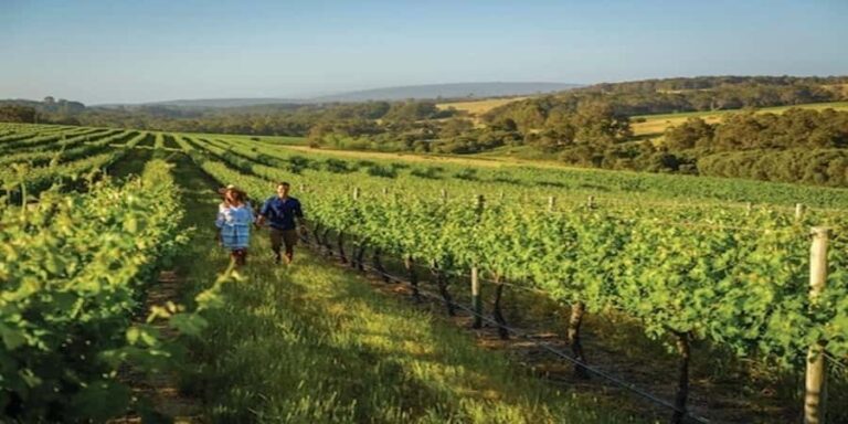 Margaret River Private Day Tour from Perth - What Makes This Tour Stand Out?