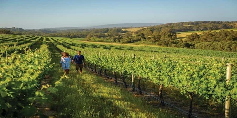 Margaret River Private Day Tour from Perth - What Makes This Tour Stand Out?