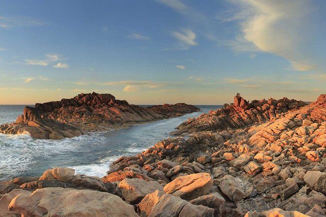 Margaret River Private Tour - Who Will Love This Tour?