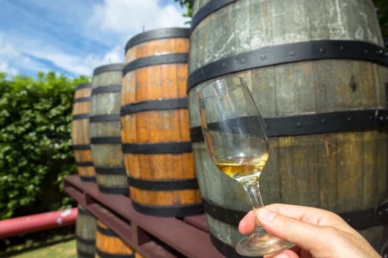 Margaret Rivers Wine & Chocolate Odyssey: Private Tour - Practical Details and Value