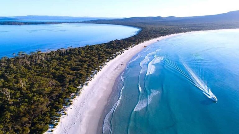 Maria Island 3 hours and 30 mins Scenic Cruise - Why This Cruise Is Valuable
