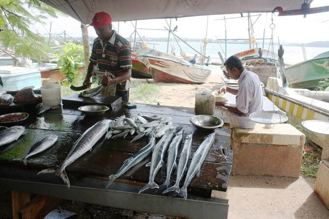 Market Tour and Sri Lankan Cooking Class inside Galle Fort - Who Will Love This Tour?