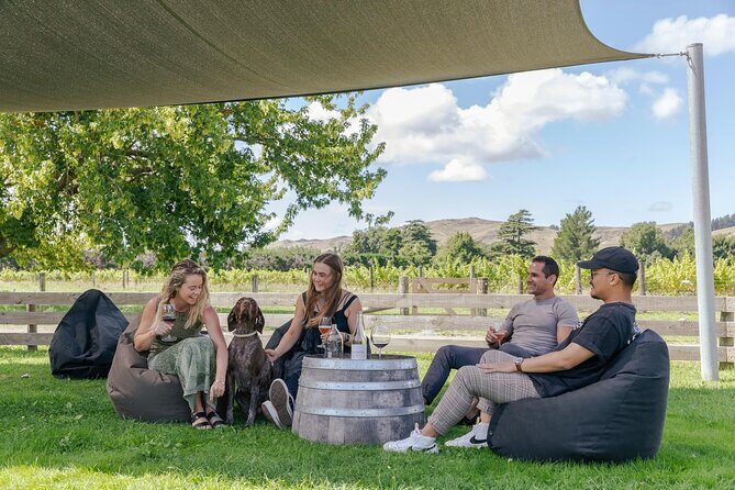 Marlborough Afternoon Wine Tour Taste Local Wines - Practical Details and Tips