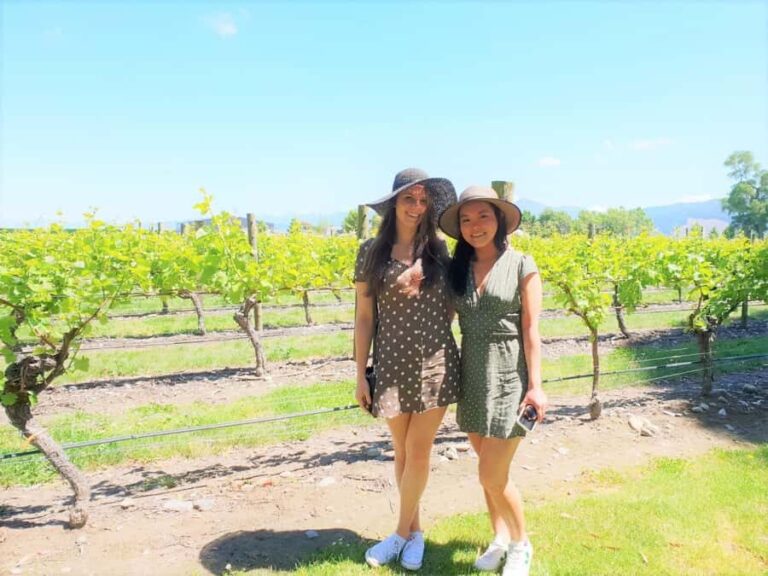 Marlborough: Full Day "Winemaker's Tour" - What We Loved and What to Consider
