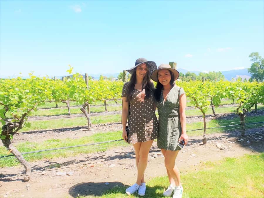 Marlborough: Full Day "Winemaker's Tour" - What We Loved and What to Consider