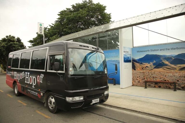 Marlborough: Hop-On Hop-Off Wine, Brewery, and Wonders Tour - Transportation and Schedule Insights