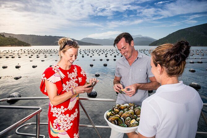 Marlborough Sounds Greenshell Mussel Tasting Cruise - Who Should Book This Tour?