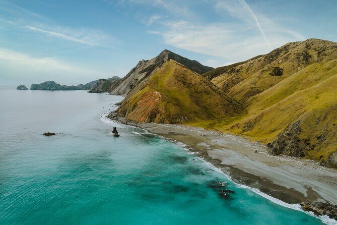Marlborough Sounds Scenic - The Itinerary: What to Expect