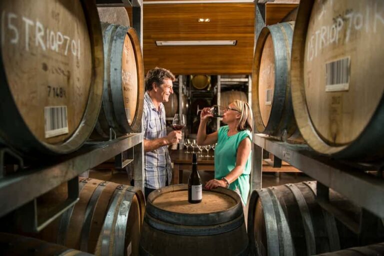 Marlborough: Wineries Visit with Tastings and 2-Course Lunch - Why This Marlborough Winery Tour Is Worth Considering