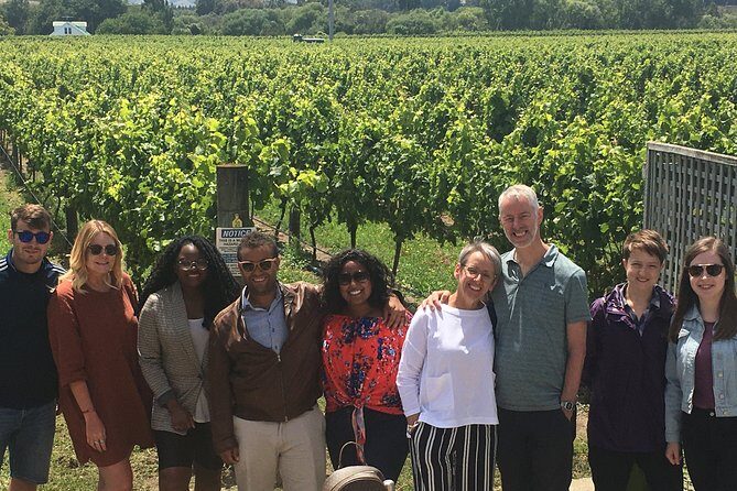 Martinborough Foodie Half Day Tour from Wellington - What the Reviews Say