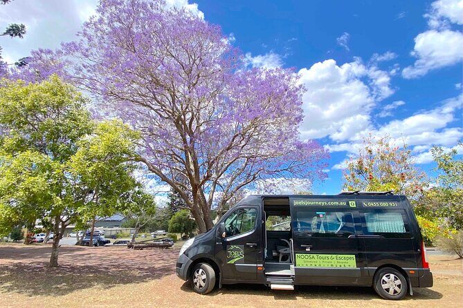 Mary Valley Tour with Mary Valley Rattler, Lunch and Kenilworth - Who Should Consider This Tour?