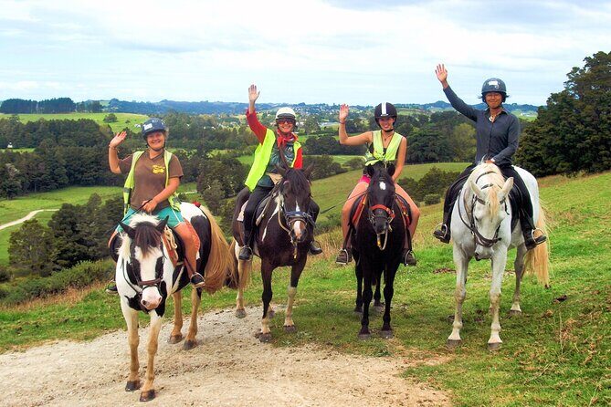 Matakana Art & Horse Riding Experience Private Tour From Auckland - Analyzing the Value