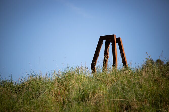 Matakana Art & Vineyard Experience incl. Lunch & Wine Tasting Tour From Auckland - Why is this Tour a Good Deal?