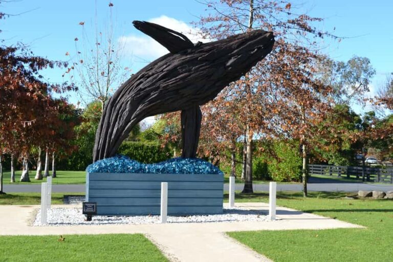 Matakana Art & Wine Village Private Tour - Scenic Drive: Setting the Mood