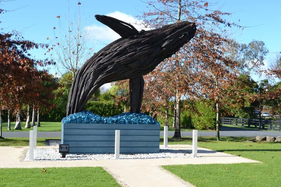 Matakana Art & Wine Village Private Tour - Scenic Drive: Setting the Mood