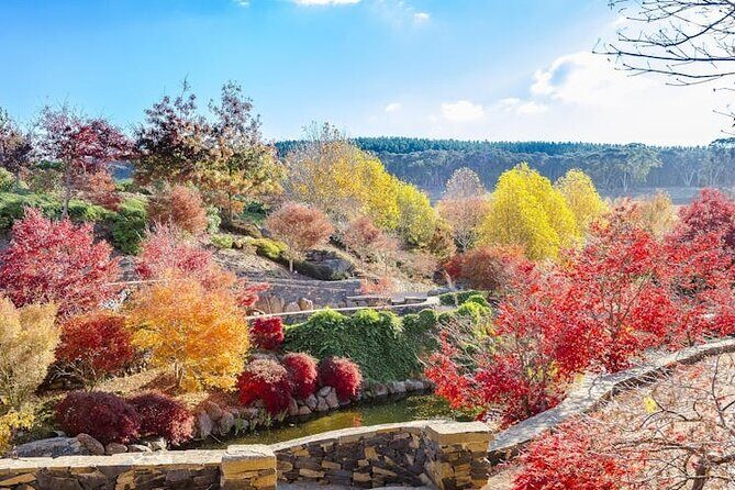 Mayfield Gardens Autumn Tour from Sydney with Echo Point Stop - What’s Included and What’s Not