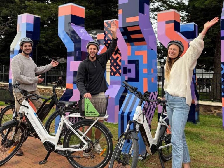McLaren Vale: E-Bike Rental to Explore the Vineyards - What to Expect from Your E-Bike Day in McLaren Vale