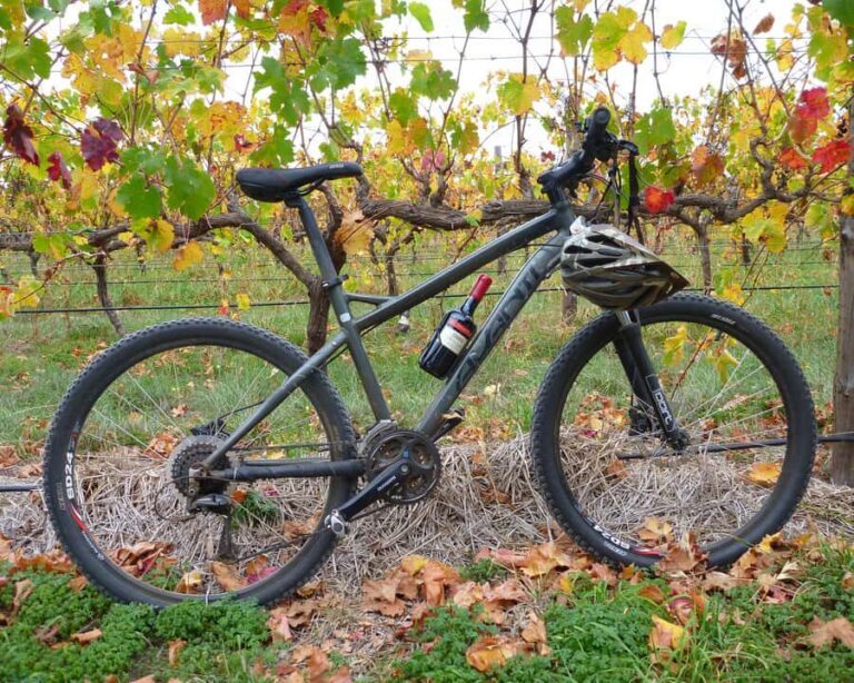 Mclaren Vale Hills Vines and Wines Bike Tour from Adelaide - The Excursion Down Willunga Hill