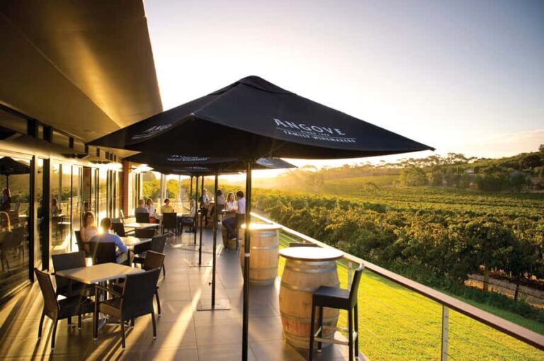 McLaren Vale North: Hop-On Hop-Off Tour - The Itinerary: What to Expect