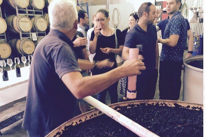 McLaren Vale Private Wine Tour - Wine Tastings and Learnings