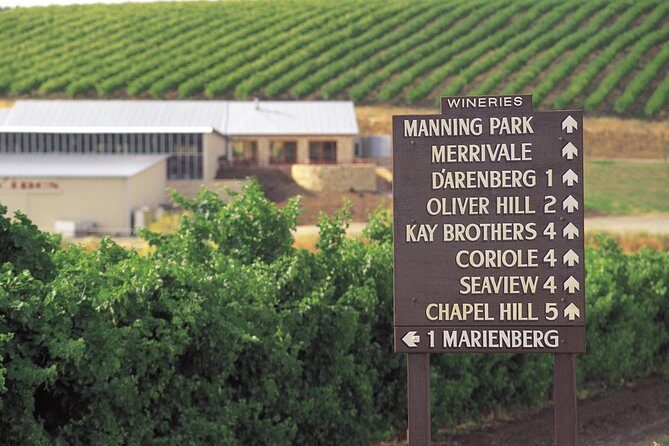 McLaren Vale Shiraz Trail Cycling Tour from Adelaide - What Sets This Tour Apart