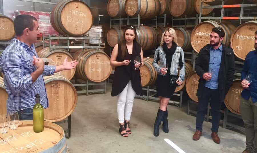 McLaren Vale: Small Group Wine Tour (Includes Lunch) - Itinerary Breakdown