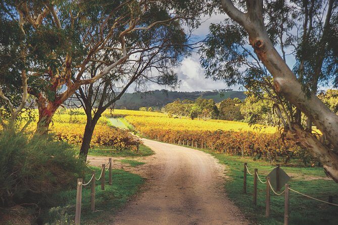 McLaren Vale Winery Small Group Tour with Wine Tasting and Lunch - Final Thoughts: Who Will Love This Tour?
