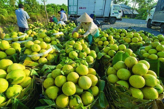 Mekong River 1 Day Group Tour - What Travelers Say