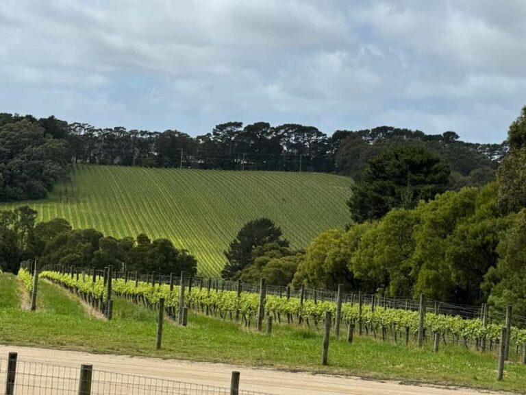 MEL: Private Yarra Valley Wine & Healesville Sanctuary Tours - Who Will Love This Tour?