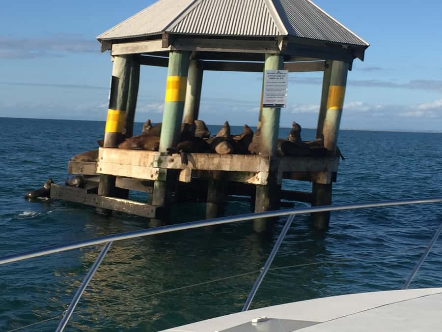 Melbourne: A Private Day Tour on a Sports Yacht on the Bay - The Itinerary in Detail