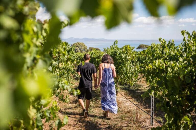 Melbourne: Around the Bay Food & Wine Taste Trail - What Makes This Tour Stand Out?