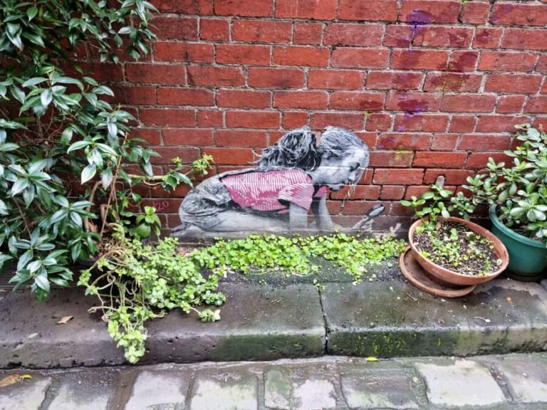 Melbourne: Art in the Streets Walking Tour with Drink - A Closer Look at the Art in the Streets Walking Tour