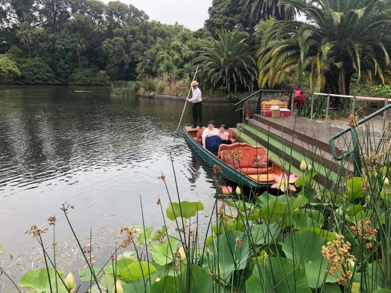 Melbourne: Botanic Gardens & Sports Precinct Walking Tour - The Value of a Guided Experience