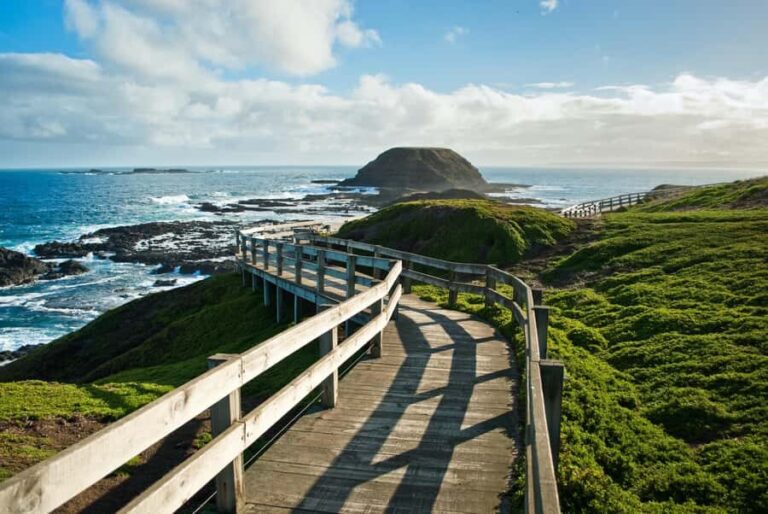 Melbourne: Coastal View & Phillip Isand Penguin Parade Tour - What Makes This Tour Valuable?