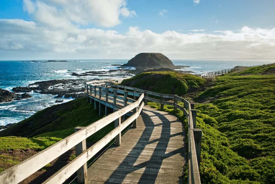 Melbourne: Coastal View & Phillip Isand Penguin Parade Tour - What Makes This Tour Valuable?