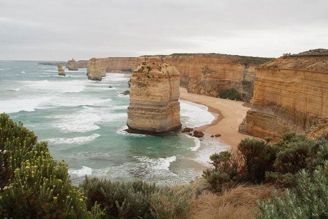 Melbourne Combo: Great Ocean Road Day Trip and Phillip Island Day Trip from Melbourne - Who Will Love This Tour?