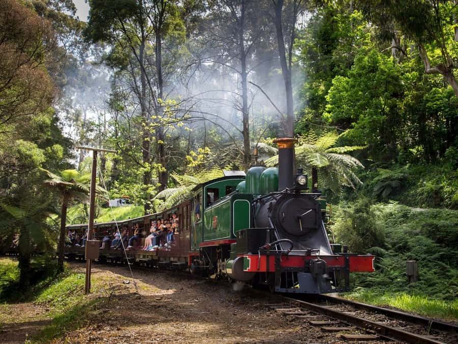Melbourne: Dandenong Ranges & Yarra Valley Day Trip - How This Tour Balances Value and Experience