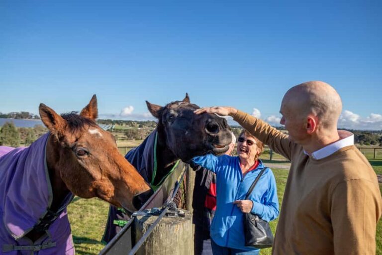 Melbourne: Full-Day Horses, Wine, and Beer Tour - Authentic Experiences That Matter