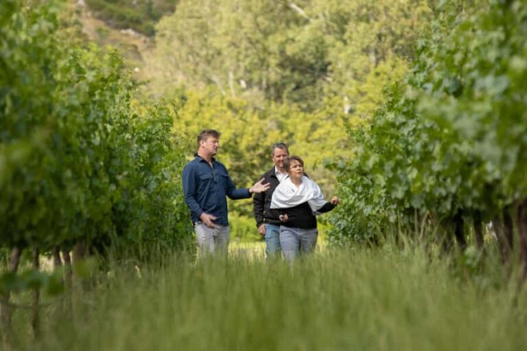 Melbourne: Full-Day Winemaker-Led Wine Tasting Tour - What Makes This Tour Stand Out
