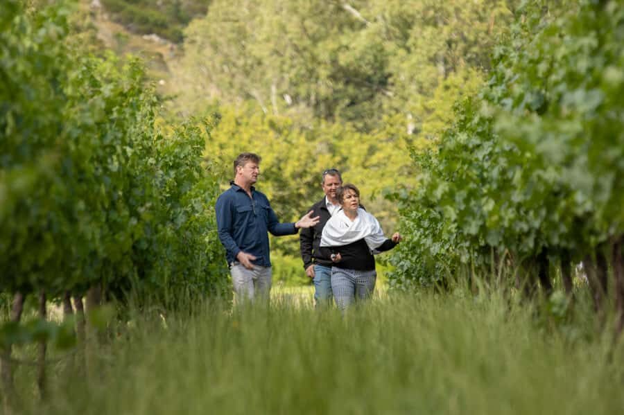 Melbourne: Full-Day Winemaker-Led Wine Tasting Tour - What Makes This Tour Stand Out