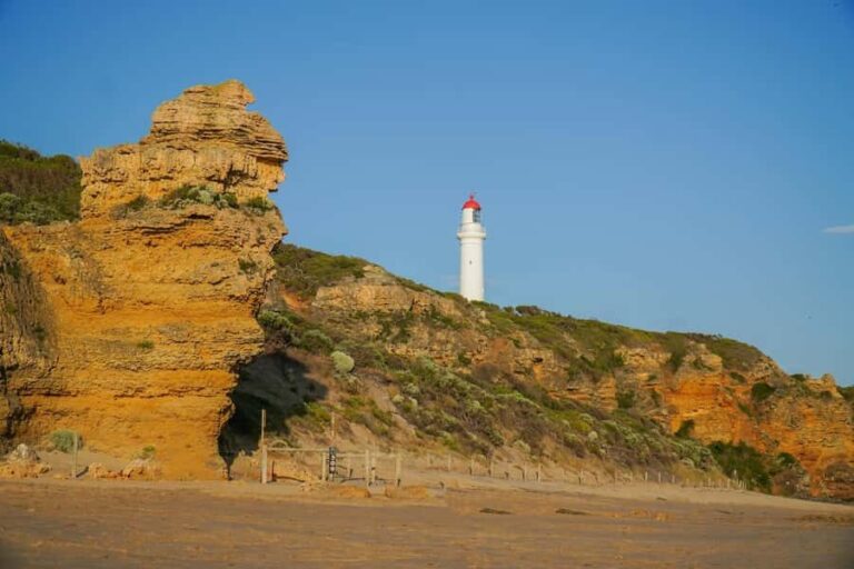 Melbourne: Great Ocean Road Adventure with Iconic Stops - The Guide and Group Size