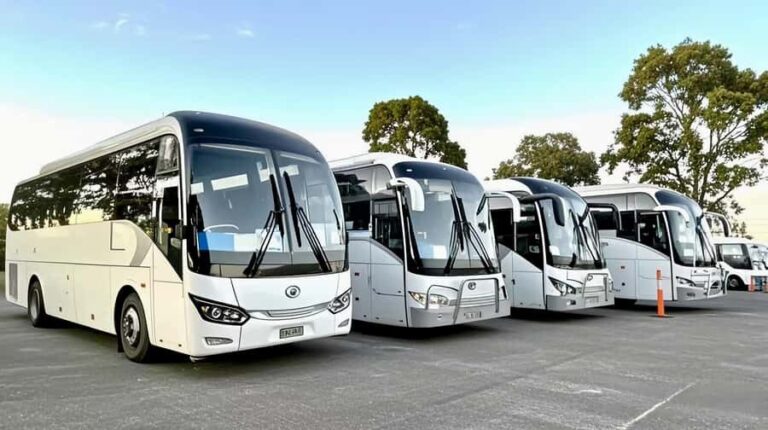 Melbourne: Great Ocean Road Reverse Tour & London Bridge - The Itinerary: What You’ll Experience