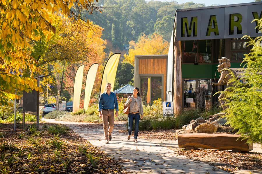 Melbourne: Lake Mountain Snow Day and Waterfalls & Chocolate - What Travelers Say