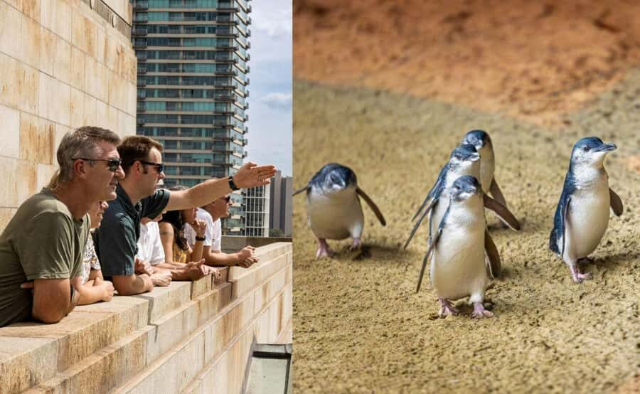 Melbourne Magic: City Highlights and Penguin Parade Tour - Who Will Love This Tour